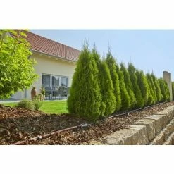 GARDENA Kit D'arrosage Goutte-à-goutte Pour Rangées De Plantes M (13011-20). -GARDENA Soldes 2024 33511583 4