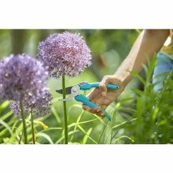 GARDENA Sécateur Classic Essential (8754-20) -GARDENA Soldes 2024 52568651 3